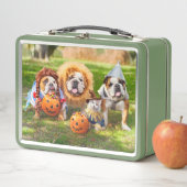 Drie Bulldogs in Verkleedingen (In situ)