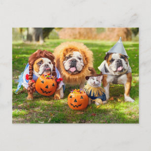 Drie Bulldogs in Verkleedingen Briefkaart
