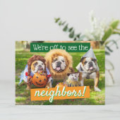 Drie Bulldogs in Verkleedingen Kaart (Staand voorkant)