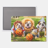 Drie Bulldogs in Verkleedingen Magneet (Voorkant / Achterkant)