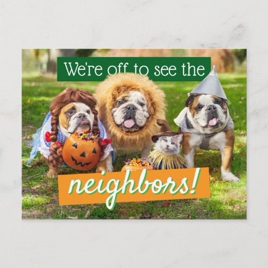 Drie Bulldogs in Verkleedingen Uitnodiging Briefkaart (Voorkant)