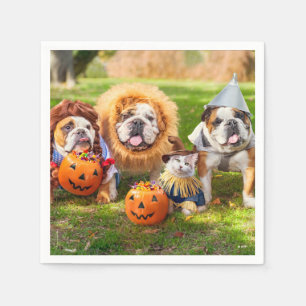 Drie Bulldogs in verkleedpartij Servet