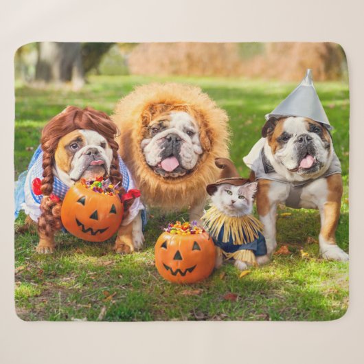 Drie Bulldogs in verkleedpartij Sherpa Deken (Voorkant (horizontaal))