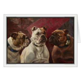 Drie Bulldogs van Charles Boland