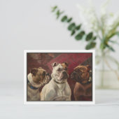 Drie Bulldogs van Charles Boland Briefkaart (Staand voorkant)