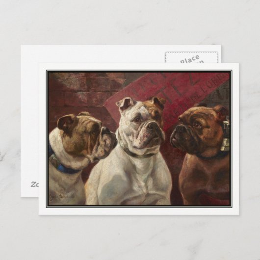 Drie Bulldogs van Charles Boland Briefkaart (Voorkant / Achterkant)