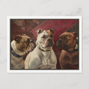 Drie Bulldogs van Charles Boland Briefkaart