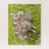Drie Bunnies in het gras Legpuzzel (Verticaal)