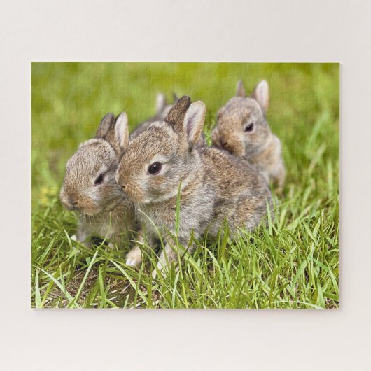 Drie Bunnies in het gras Legpuzzel (Horizontaal)