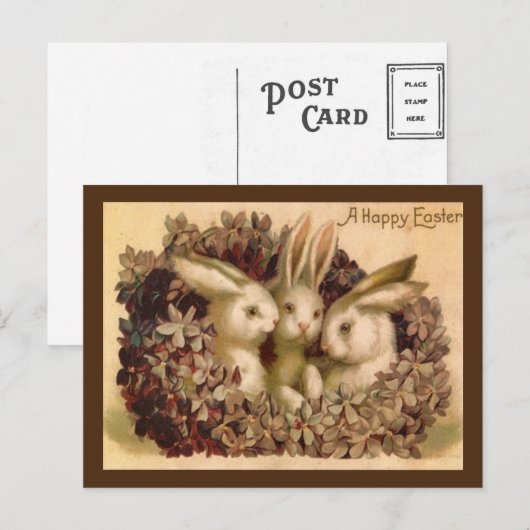 Drie Bunnies  paasbegroet Briefkaart (Voorkant / Achterkant)