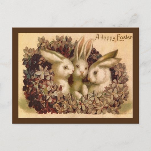 Drie Bunnies  paasbegroet Briefkaart (Voorkant)