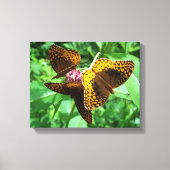 Drie Butterflies Canvas Afdruk (Voorkant)