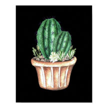 Drie cactus