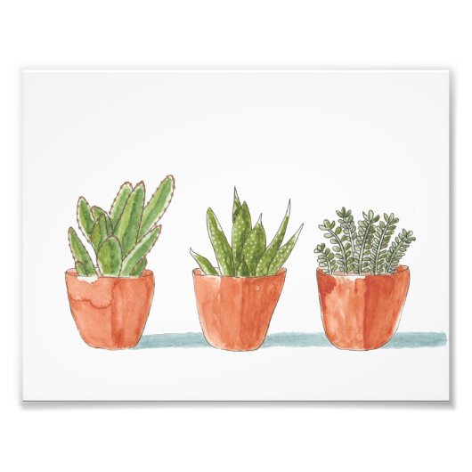 Drie cactussen op een rij foto afdruk (Voorkant)