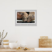 Drie Californische Zee Lions - Drie Amigos-Poster Poster (Keuken)