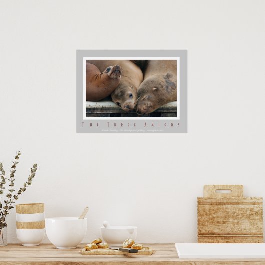 Drie Californische Zee Lions - Drie Amigos-Poster Poster (Keuken)