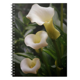 Drie Calla lelie bloemen van Gertie's Tuin Notitieboek