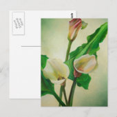 Drie Calla Lilies die botanisch acryl Briefkaart (Voorkant / Achterkant)