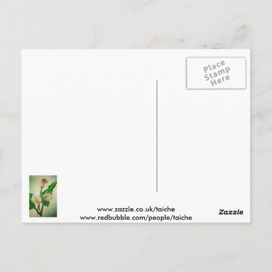 Drie Calla Lilies die botanisch acryl Briefkaart (Achterkant)