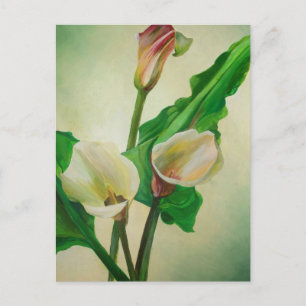 Drie Calla Lilies die botanisch acryl Briefkaart