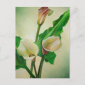 Drie Calla Lilies die botanisch acryl Briefkaart (Voorkant)