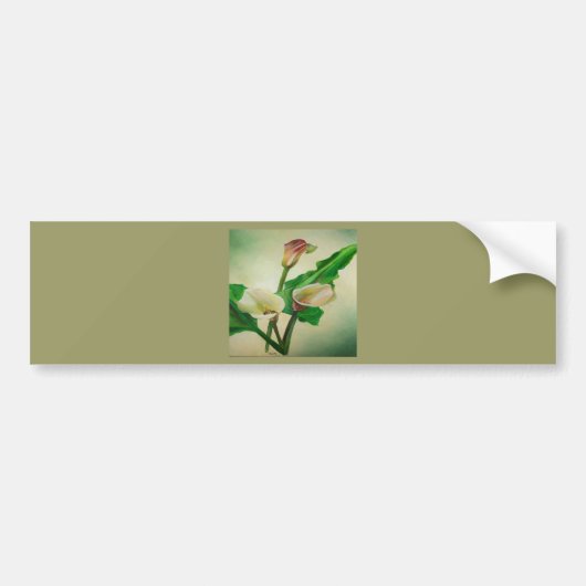 Drie Calla Lilies die botanisch acryl Bumpersticker (Voorkant)
