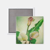 Drie Calla Lilies die botanisch acryl Magneet (Voorkant / Achterkant)