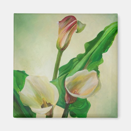 Drie Calla Lilies die botanisch acryl Magneet (Voorkant)