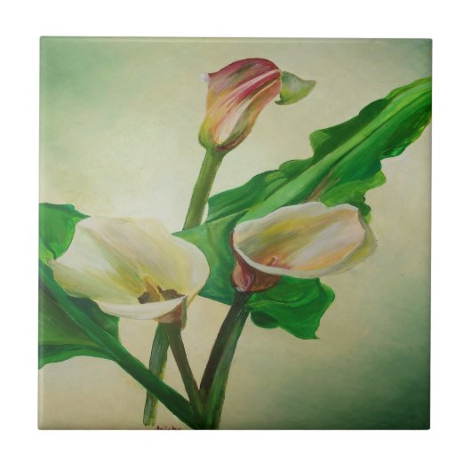 Drie Calla Lilies die botanisch acryl Tegeltje (Voorkant)