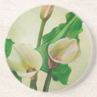 Drie Calla Lilies die botanisch acryl