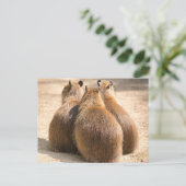 Drie Capybara Briefkaart (Staand voorkant)