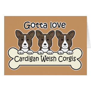 Drie Cardigan Welse Corgis