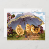 Drie charmante paaskuikens feestdagenkaart (Voorkant / Achterkant)