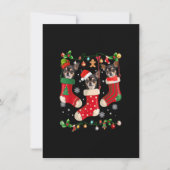 Drie Chihuahua in Sock-kerstkerstkerstkerstkerstho Kaart (Voorkant)