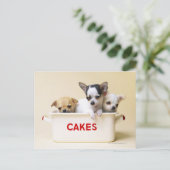 Drie Chihuahua Puppies Briefkaart (Staand voorkant)