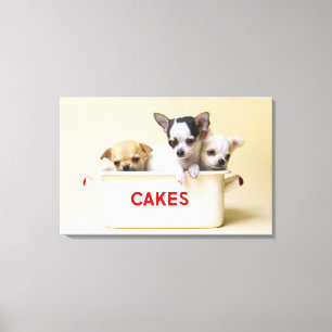 Drie chihuahua-puppies in taarttin canvas afdruk