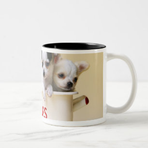 Drie chihuahua-puppies in taarttin tweekleurige koffiemok