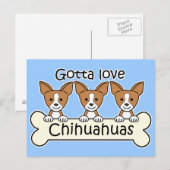 Drie Chihuahuas Briefkaart (Voorkant / Achterkant)