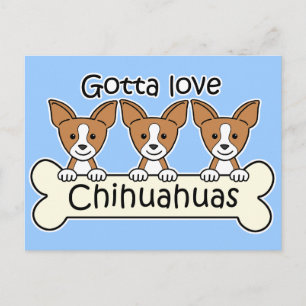 Drie Chihuahuas Briefkaart
