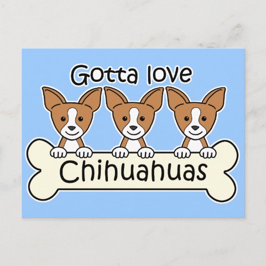Drie Chihuahuas Briefkaart (Voorkant)