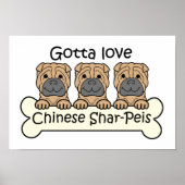 Drie Chinese Shar-Peis Poster (Voorkant)
