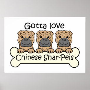 Drie Chinese Shar-Peis Poster
