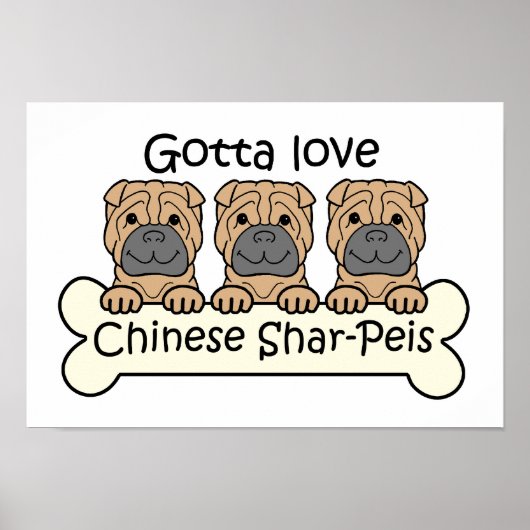 Drie Chinese Shar-Peis Poster (Voorkant)