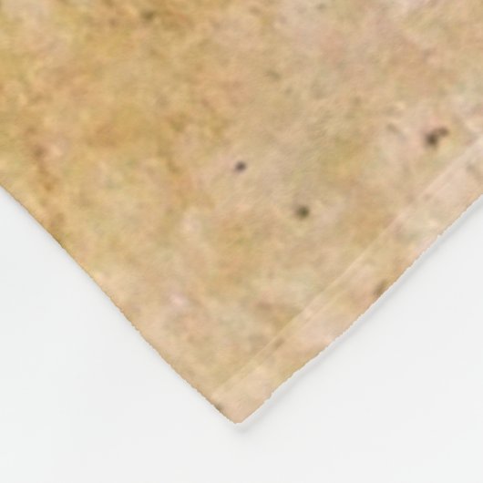 DRIE CHRISTMAS ANGELS IN BLAUW FLEECE DEKEN (Hoek)