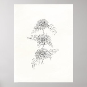 Drie Chrysanthema's afdrukken Poster
