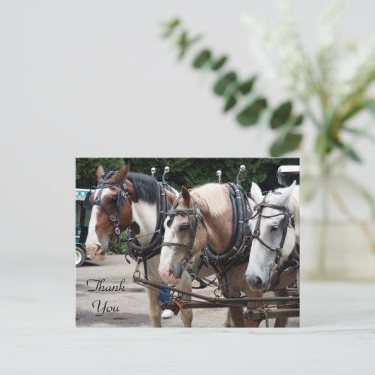 Drie conceptpaarden bedankt briefkaart (Staand voorkant)