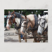 Drie conceptpaarden bedankt briefkaart (Voorkant)