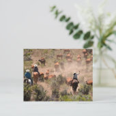 Drie cowboys die runderen besturen briefkaart (Staand voorkant)