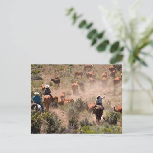 Drie cowboys die runderen besturen briefkaart (Staand voorkant)