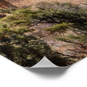 Drie cowboys die runderen besturen poster (Hoek)